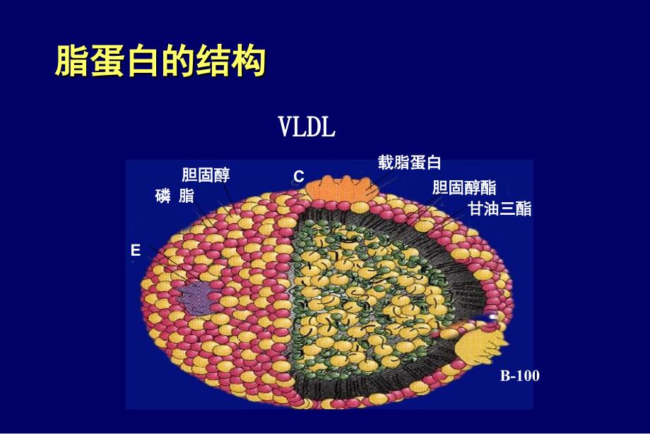 社区血脂异常防治王增武_第3页