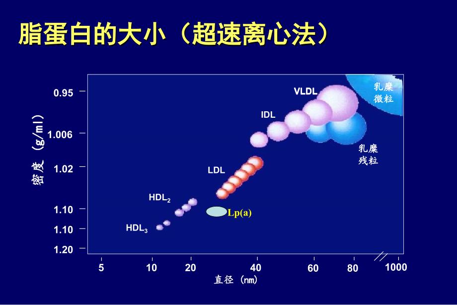 社区血脂异常防治王增武_第4页