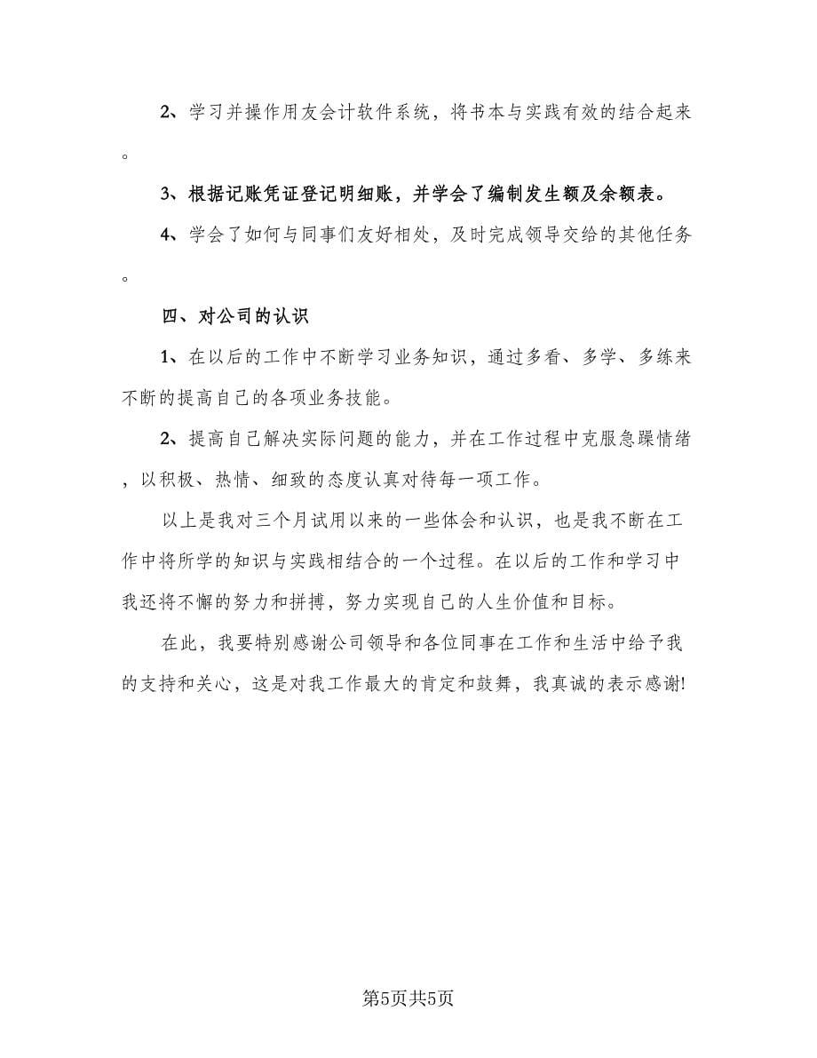 出纳的实习个人总结参考范文（二篇）_第5页