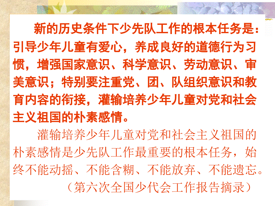 规范少先队礼仪增强队员组织意识_第2页