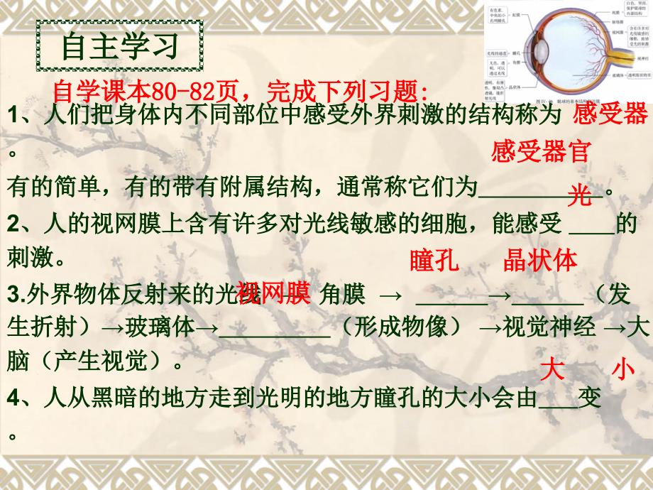 初中一年级生物下册第四单元　第六章人体生命活动的调第一节人体对外界环境的感知第一课时课件_第4页