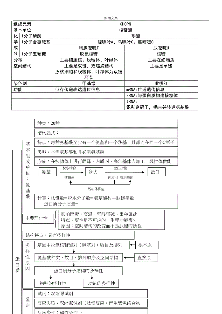 高中生物必修一知识点总结材料复习提纲非常全面清晰概念图(DOC 13页)_第3页