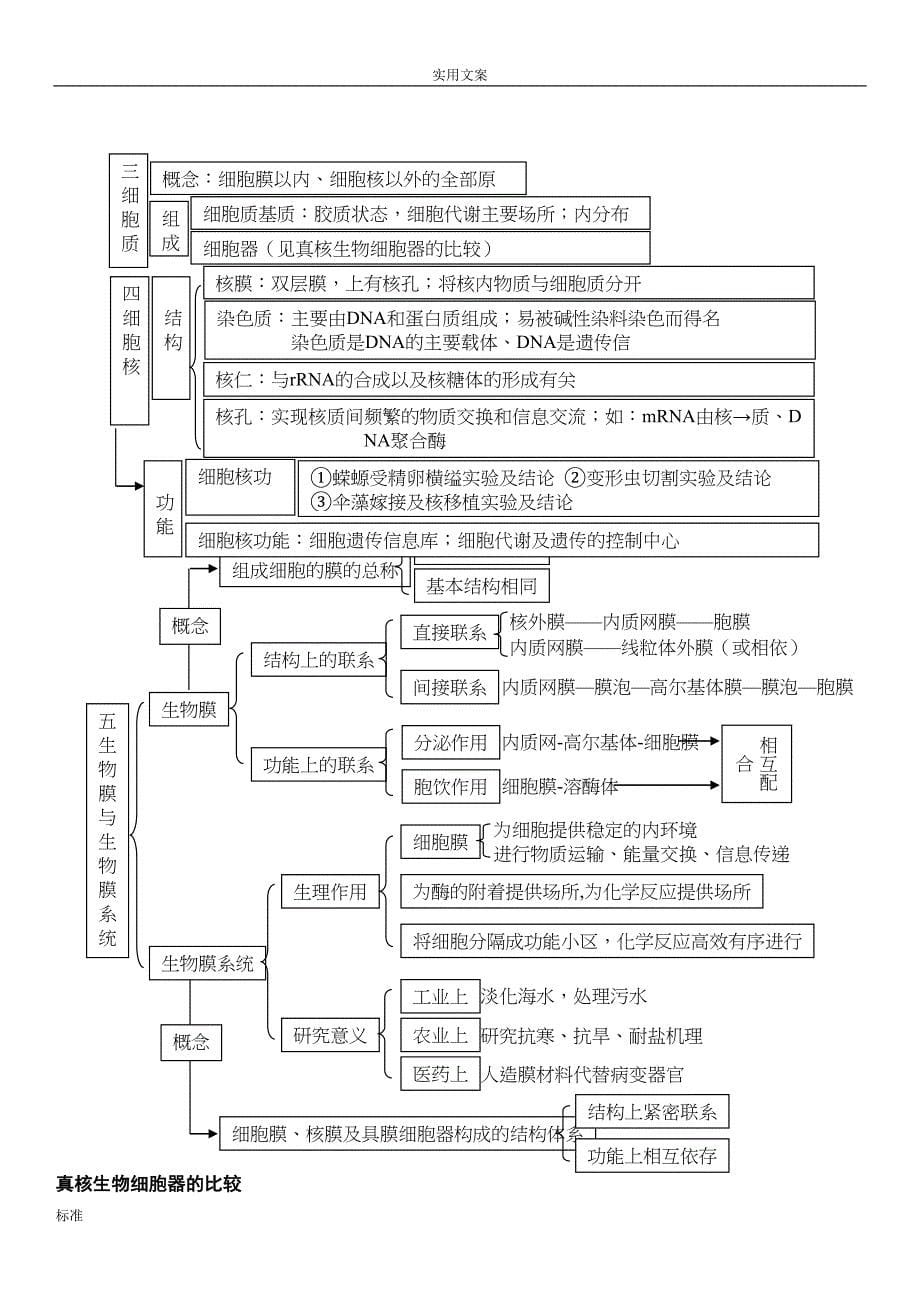 高中生物必修一知识点总结材料复习提纲非常全面清晰概念图(DOC 13页)_第5页