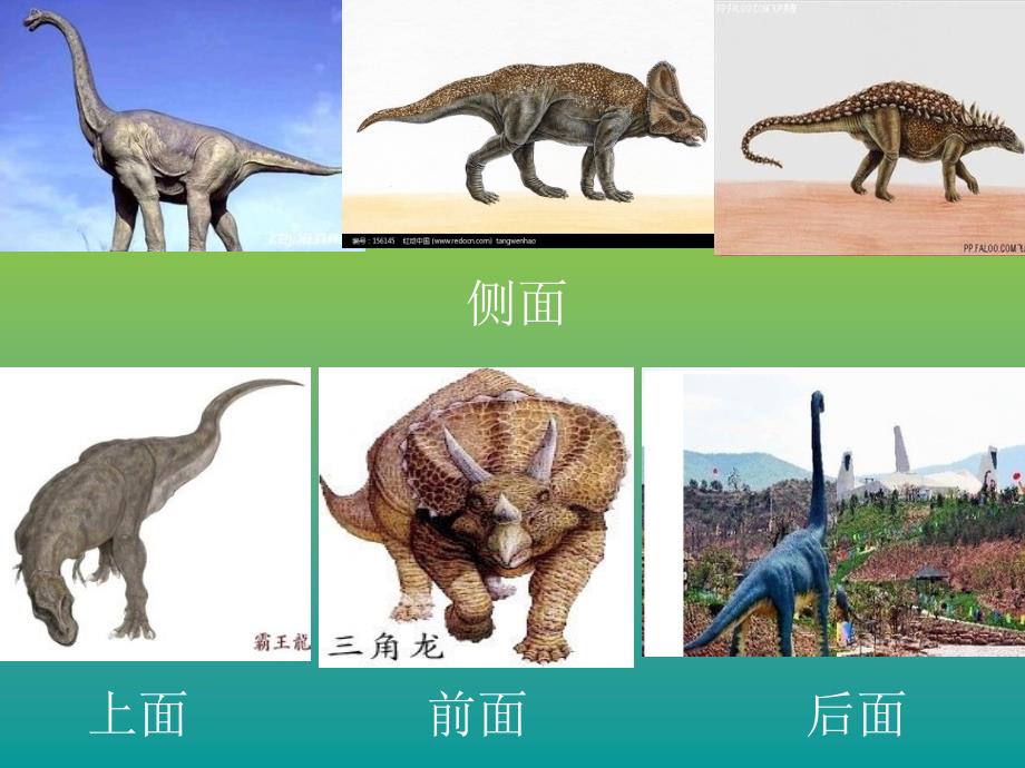 人教版小学五年级数学观察物体_第3页