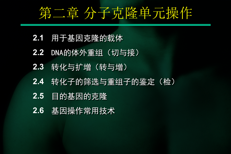 基因工程课件：第二章 分子克隆单元操作_第3页