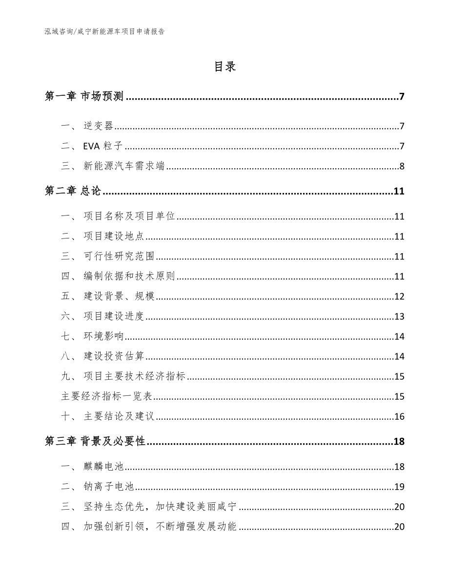 咸宁新能源车项目申请报告（模板）_第1页