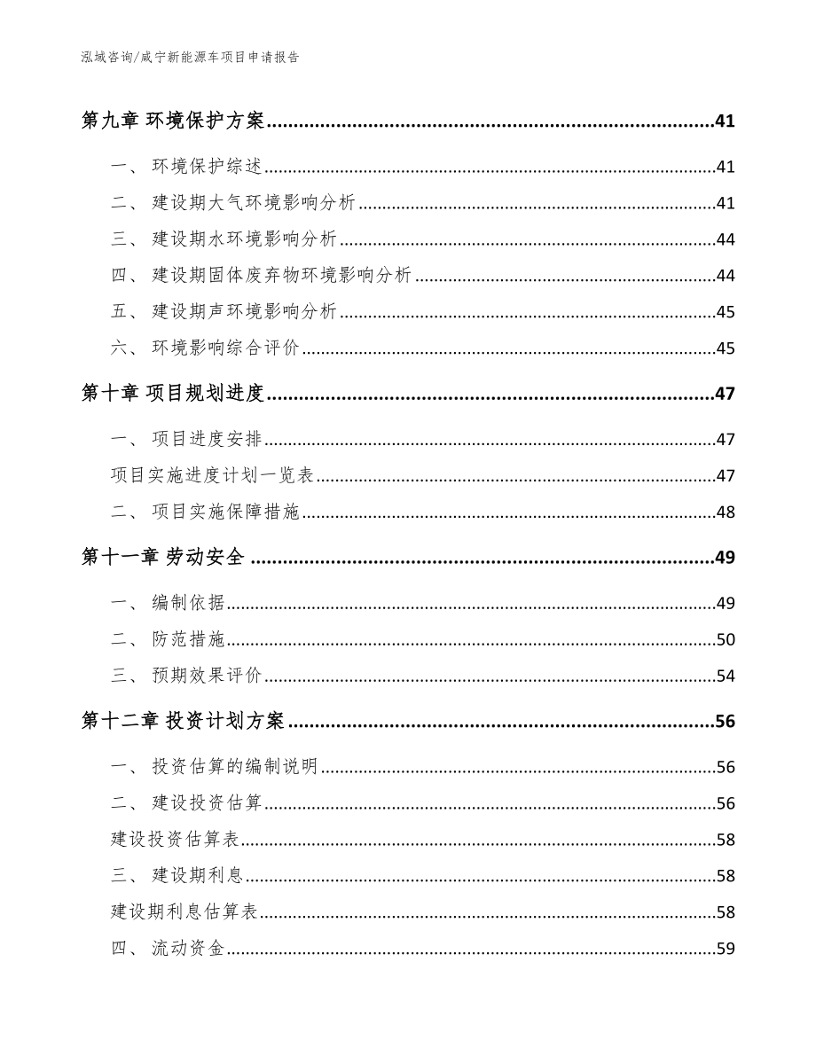 咸宁新能源车项目申请报告（模板）_第3页