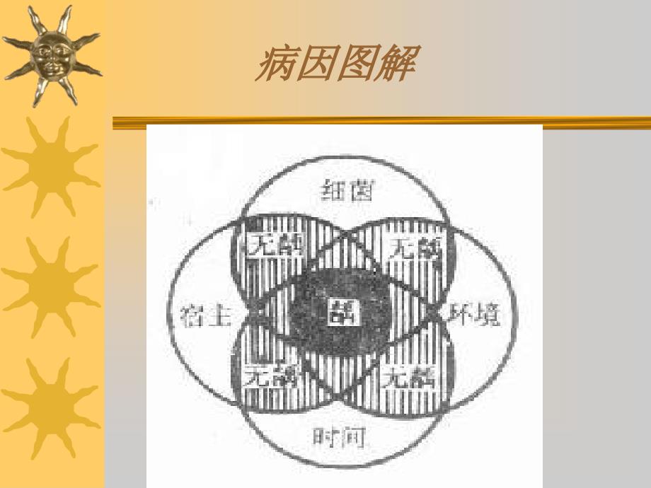 牙体牙髓病临床医学医药卫生专业资料课件_第4页