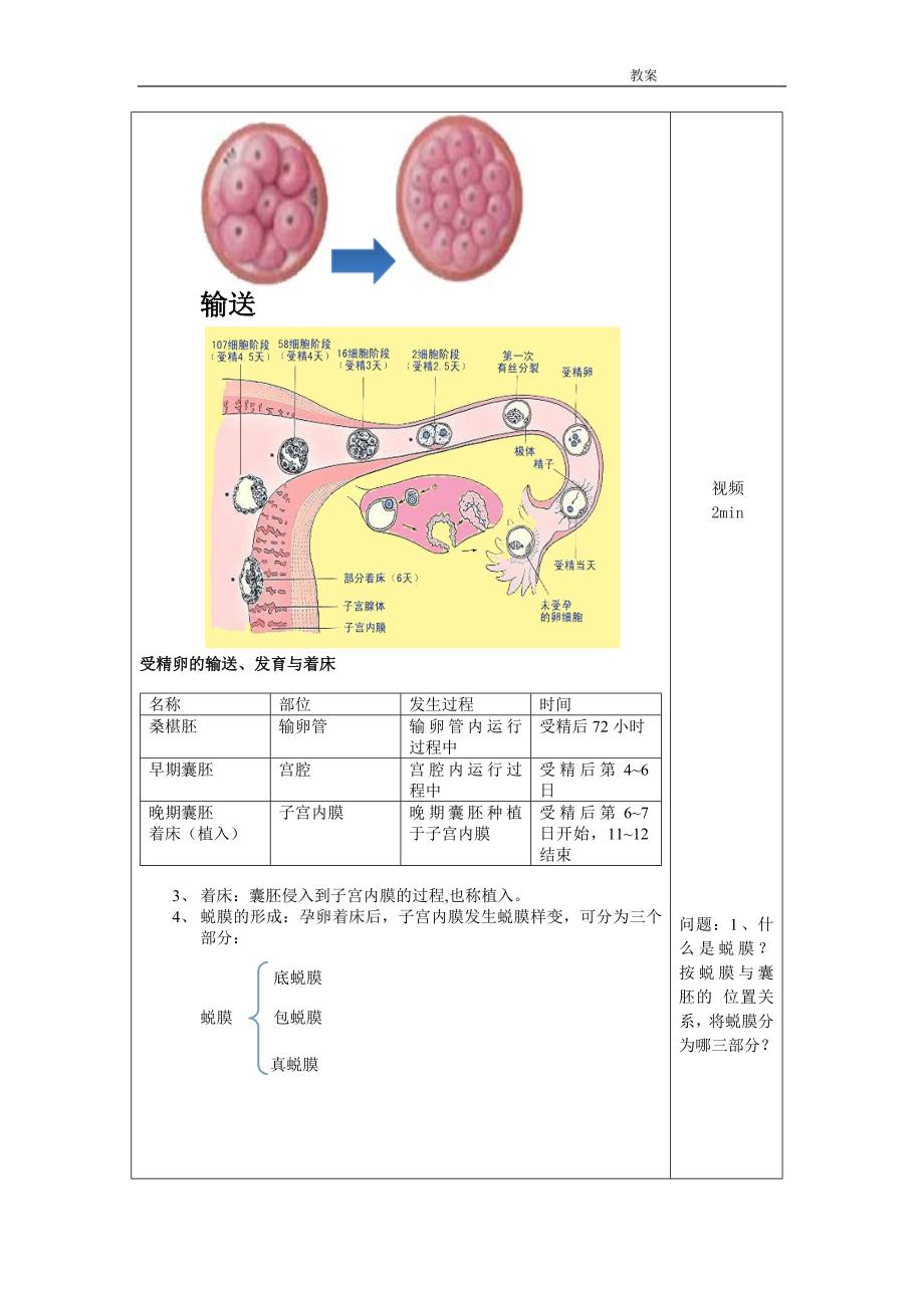 第4章 妊娠期妇女的护理教案_第3页