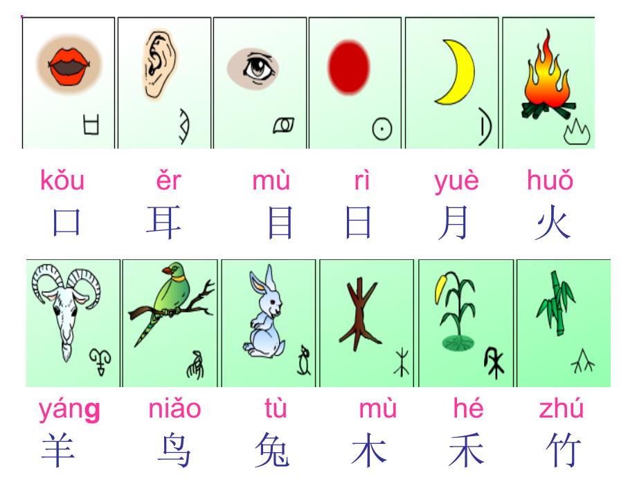 口耳目实用课件_第4页