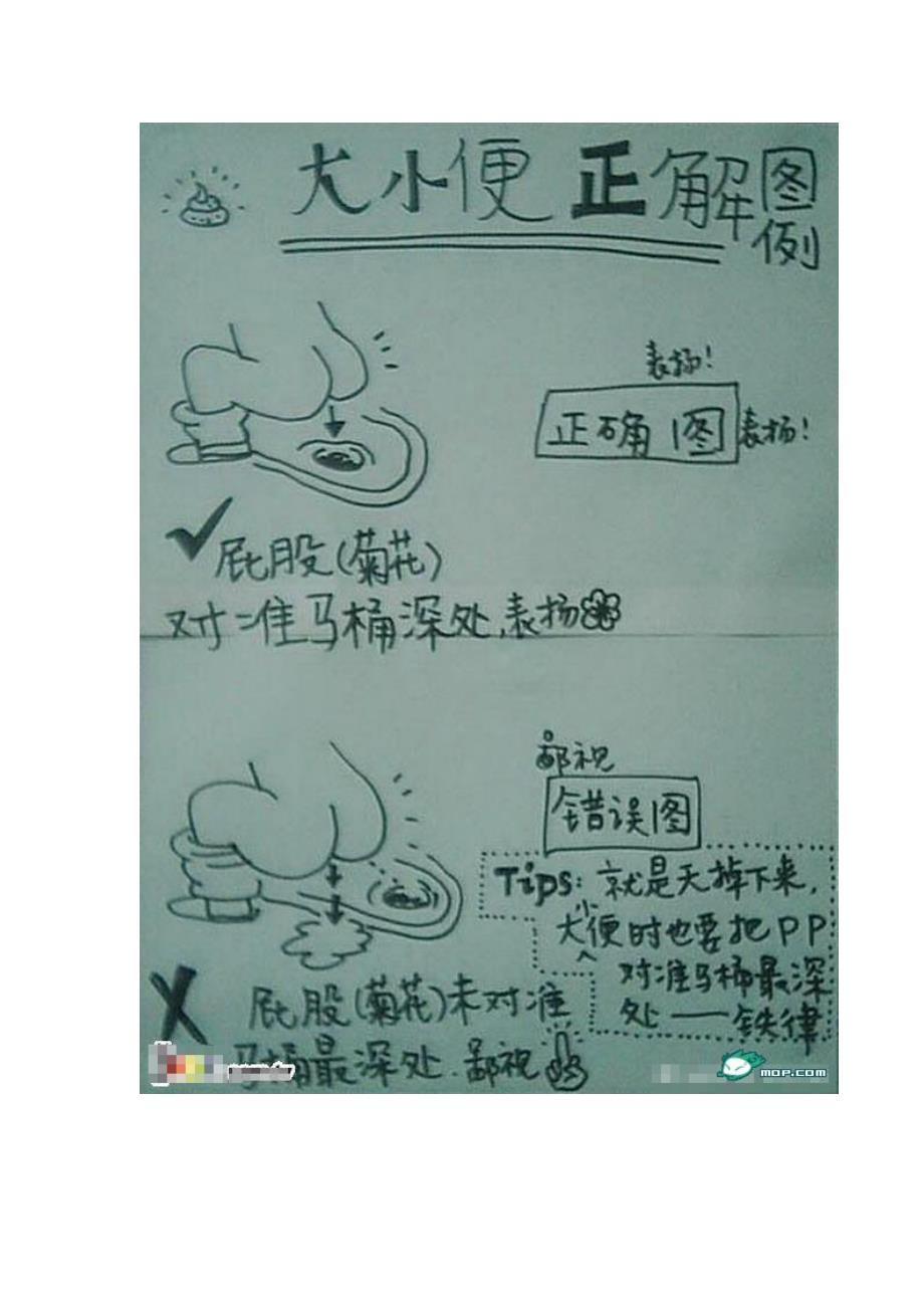 教育专题：搞笑厕所文化_第4页