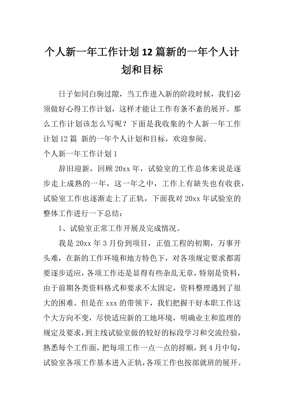 个人新一年工作计划12篇新的一年个人计划和目标_第1页