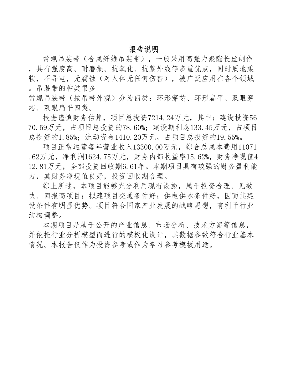 山东吊装带项目可行性研究报告范文参考(DOC 89页)_第2页