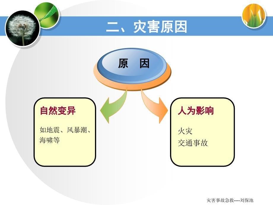 急诊医学课件第九章灾害事故急救_第5页