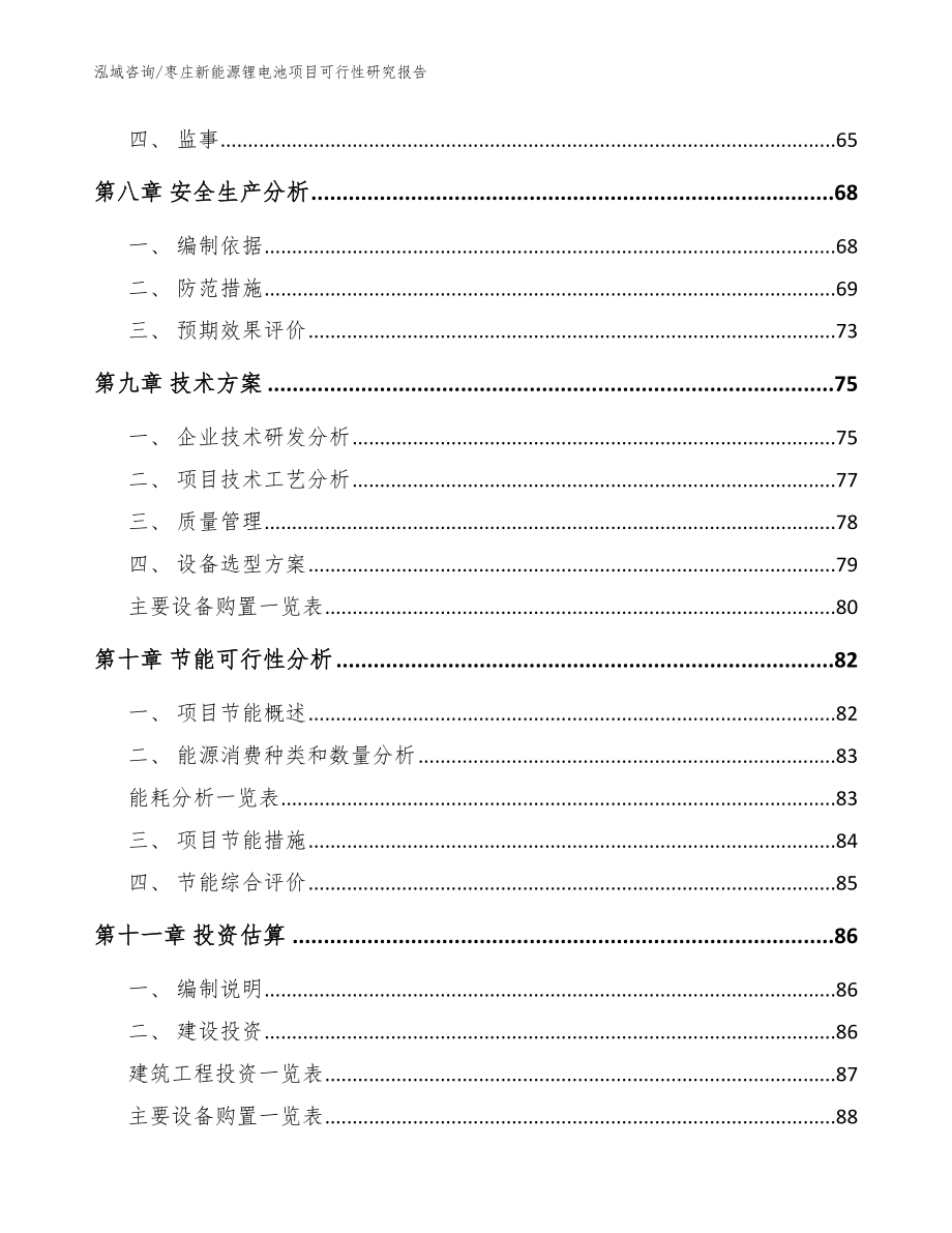 枣庄新能源锂电池项目可行性研究报告【模板参考】_第4页