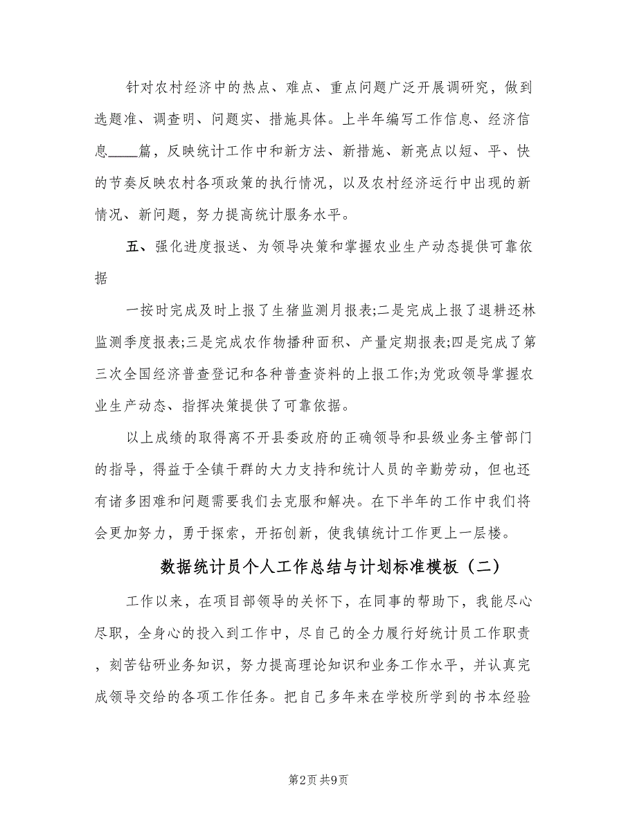 数据统计员个人工作总结与计划标准模板（4篇）.doc_第2页