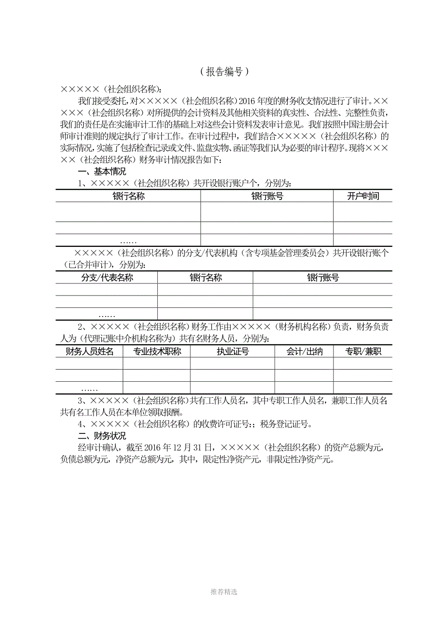 社会组织财务审计报告模板_第2页