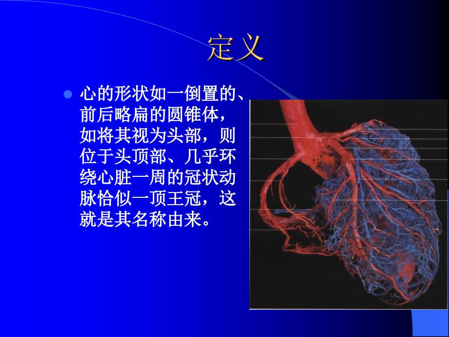 左冠状动脉解剖PPT_第2页