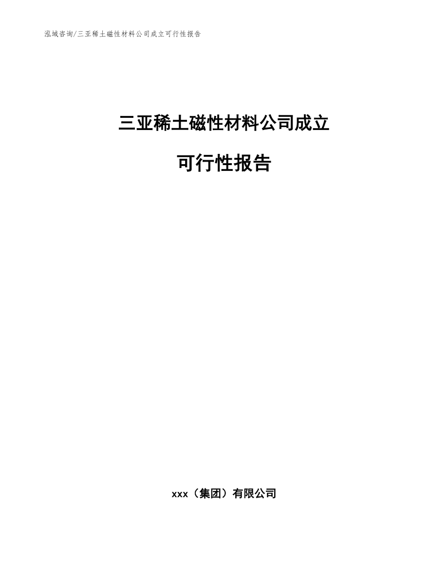 三亚稀土磁性材料公司成立可行性报告_模板范本_第1页