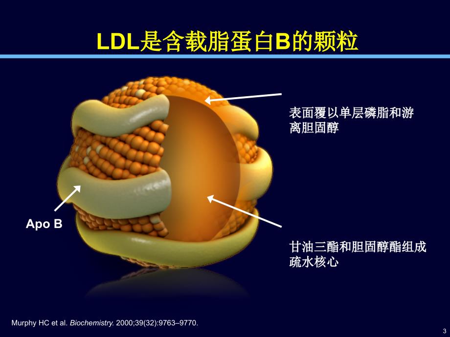 降低胆固醇及额外作用_第3页