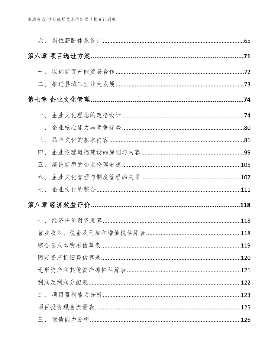 钦州轮胎技术创新项目投资计划书_第3页