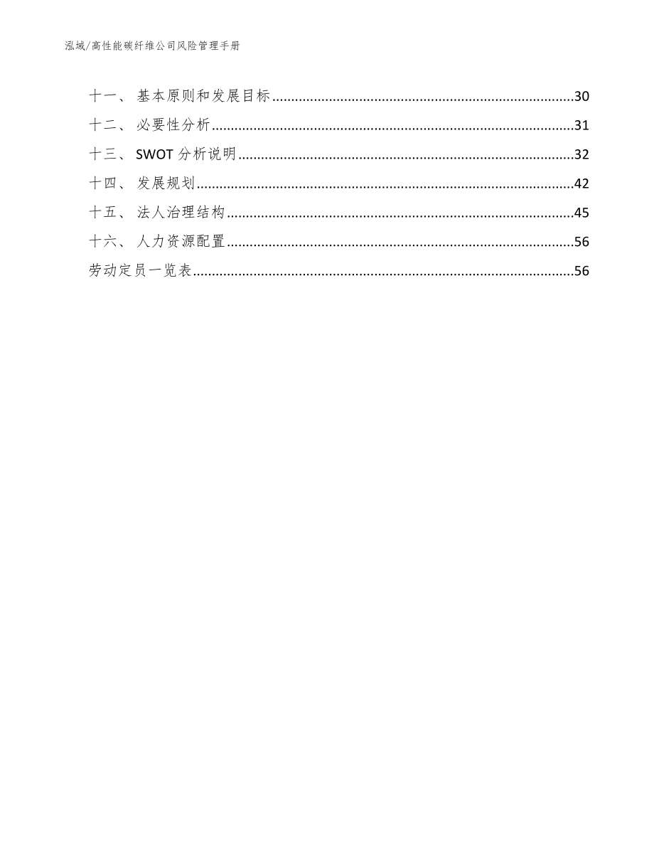 高性能碳纤维公司风险管理手册_范文_第2页