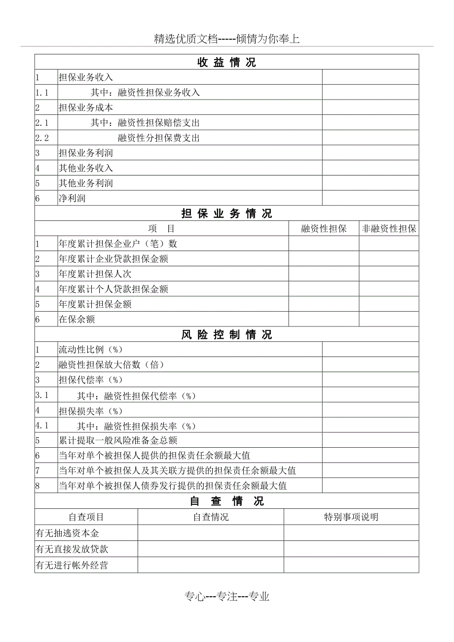 深圳融资性担保公司年审报告书_第4页