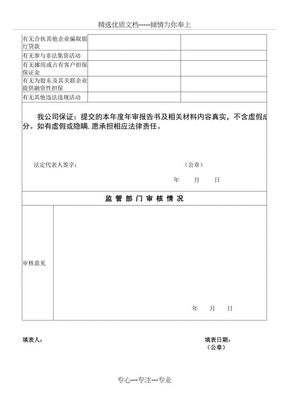 深圳融资性担保公司年审报告书_第5页