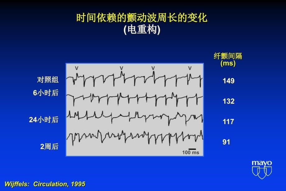 医学课件窦律的药物控制指南临床集粹_第5页