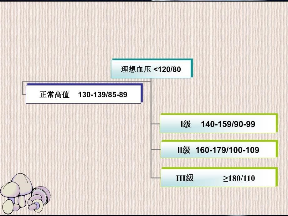 高血压病人的护理06343_第5页