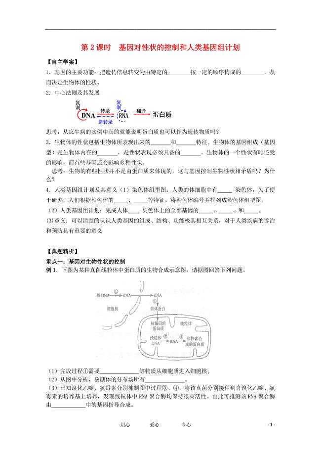 江苏淮阴中学高中生物4.3基因对性状的控制和人类基因组计划2学案苏教版必修2