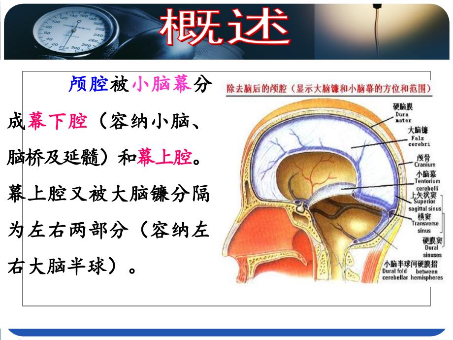 WH脑疝患者护理_第3页