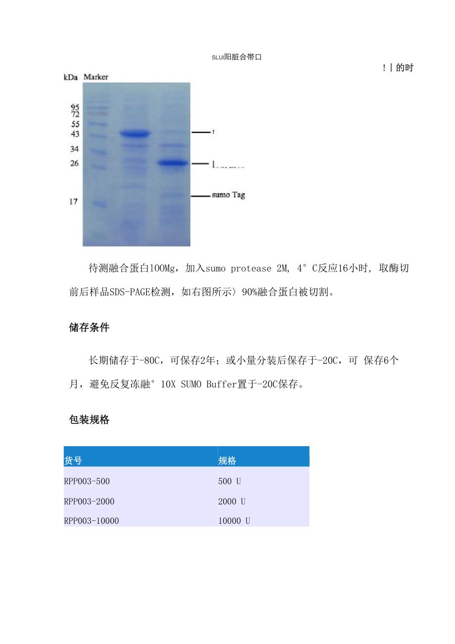 SUMO蛋白酶说明书_第3页