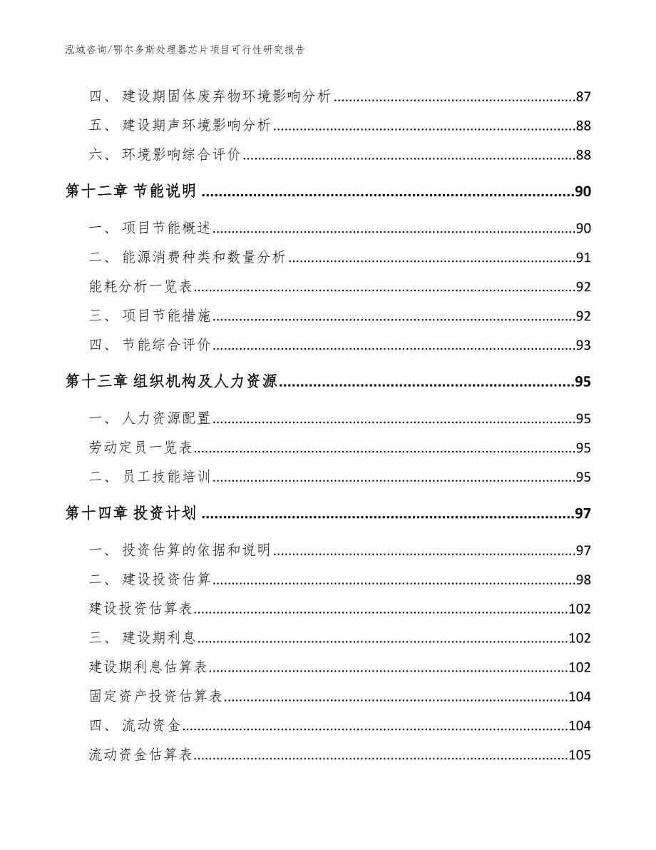 鄂尔多斯处理器芯片项目可行性研究报告（范文模板）_第5页