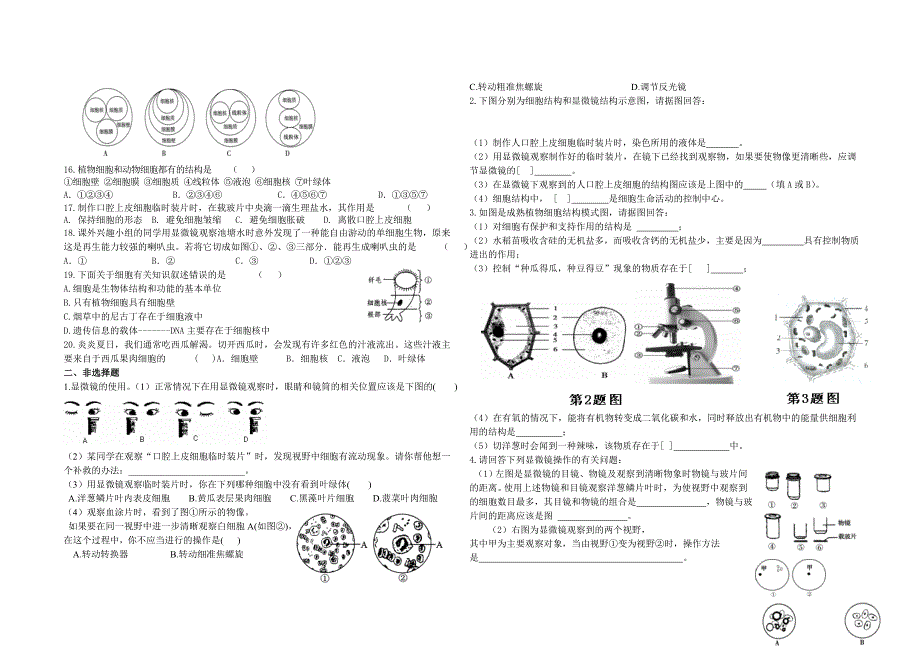 中考生物一轮复习测试题：细胞的结构.doc_第2页