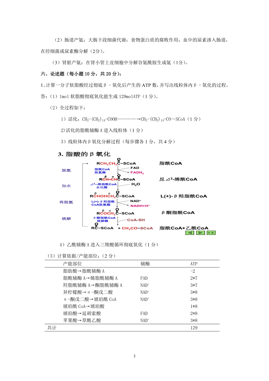 生物化学模拟试卷答案.doc_第3页