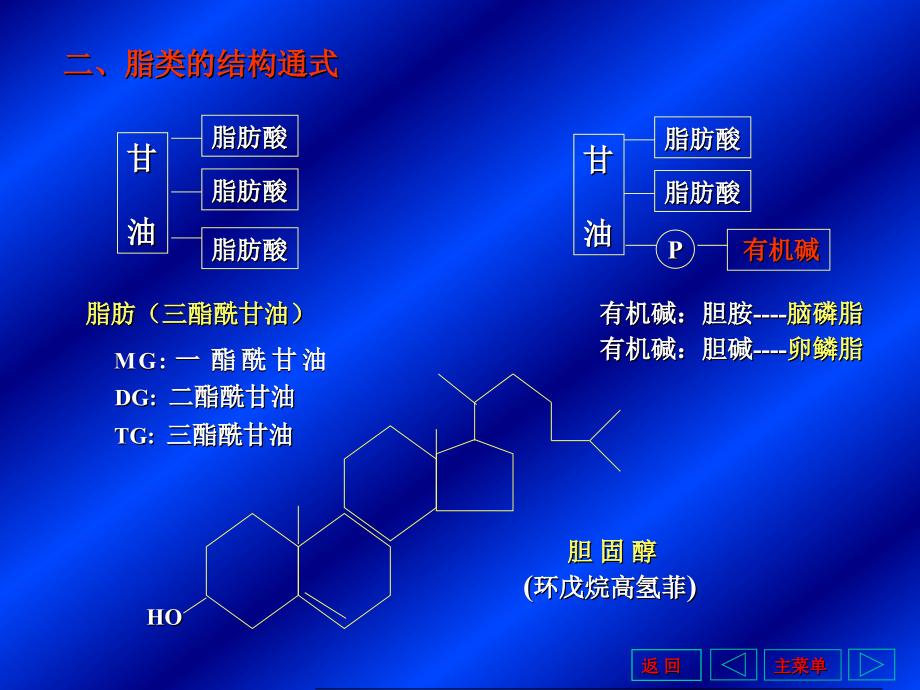 第六章 脂类代谢_第4页