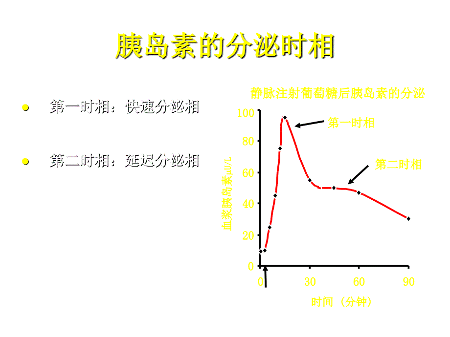 糖尿病的药物治疗课件_第3页