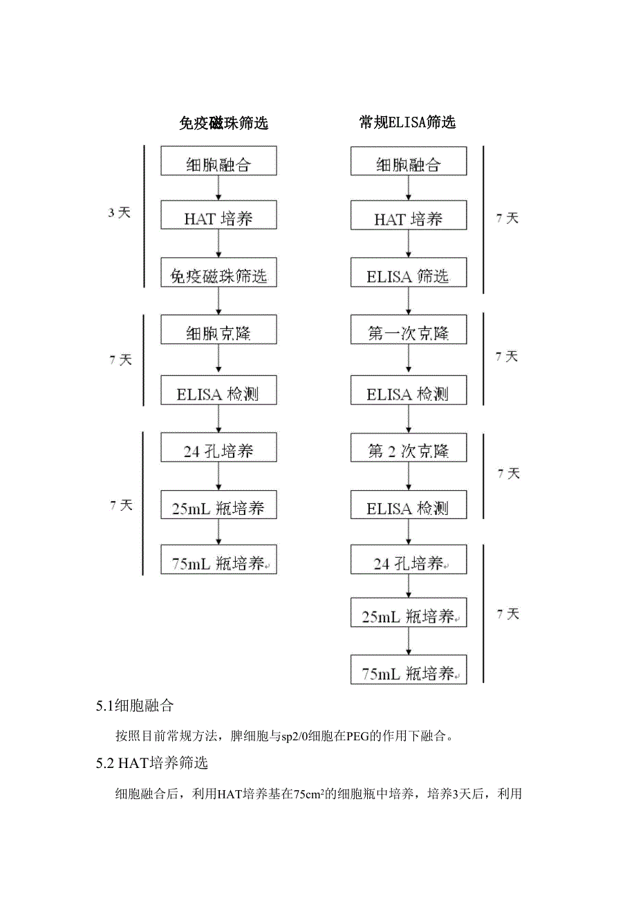 免疫磁珠分离阳性杂交瘤细胞株的可行性_第4页