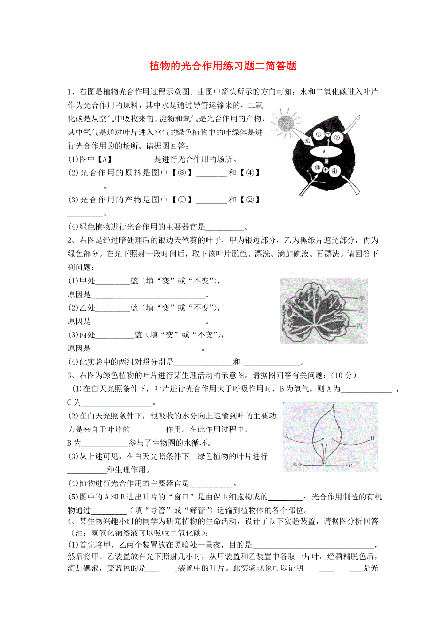 七年级生物上册 光合作用练习题二 人教新课标版（通用）_第1页