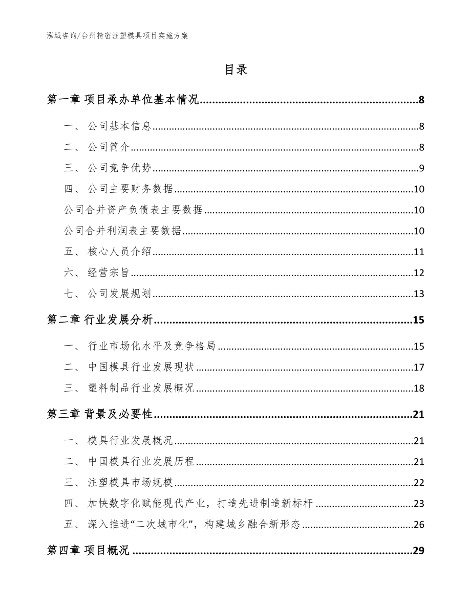 台州精密注塑模具项目实施方案（模板范本）_第2页