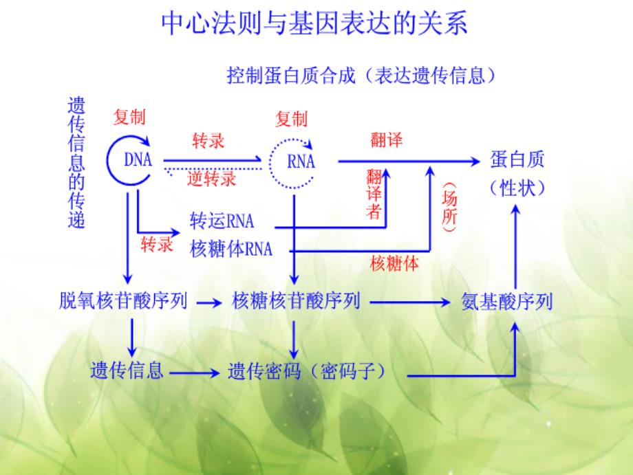 基因突变和基因重组(优质课)课件_第1页