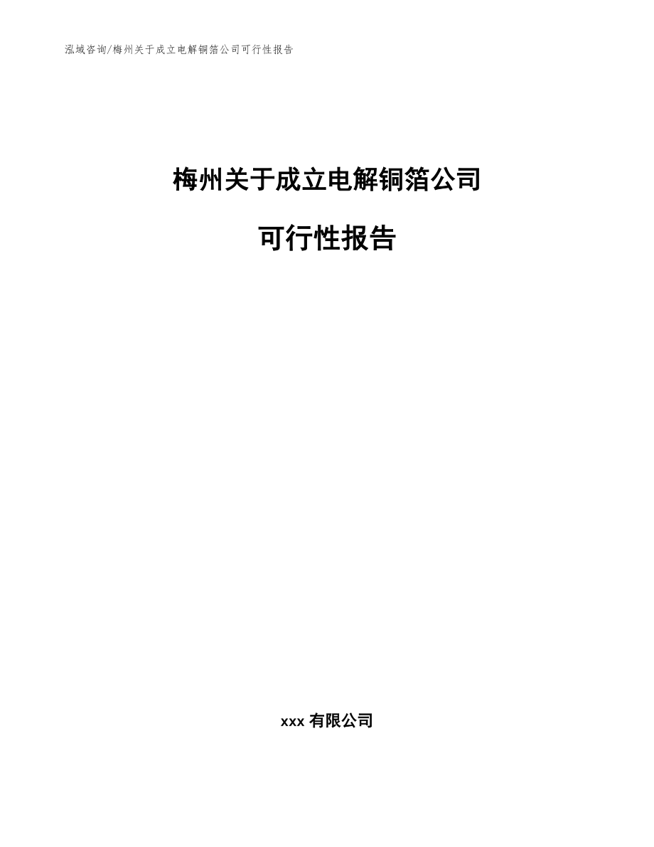 梅州关于成立电解铜箔公司可行性报告（参考模板）_第1页