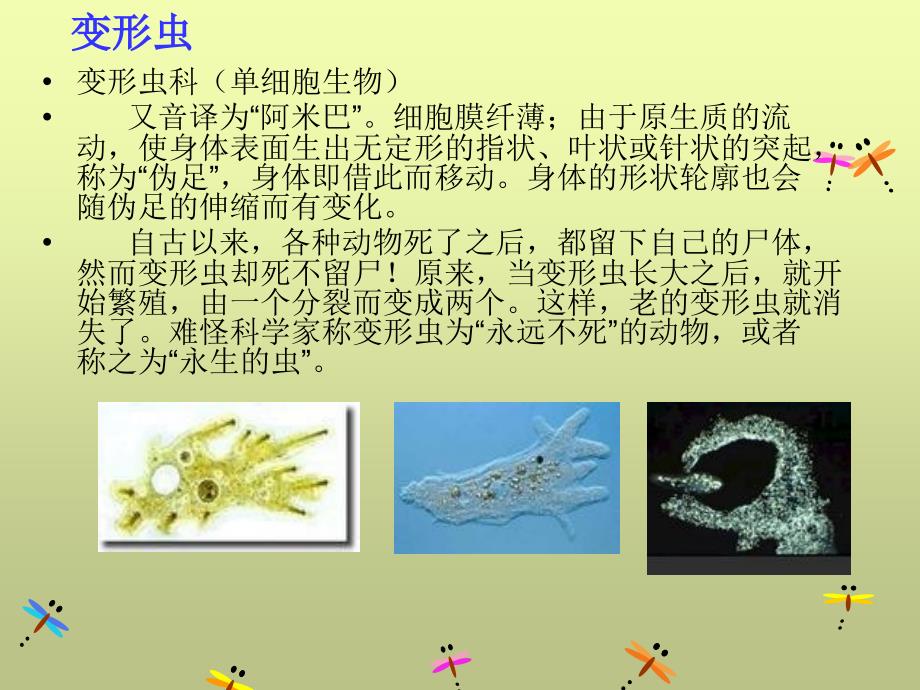 高中常见动植物_第2页