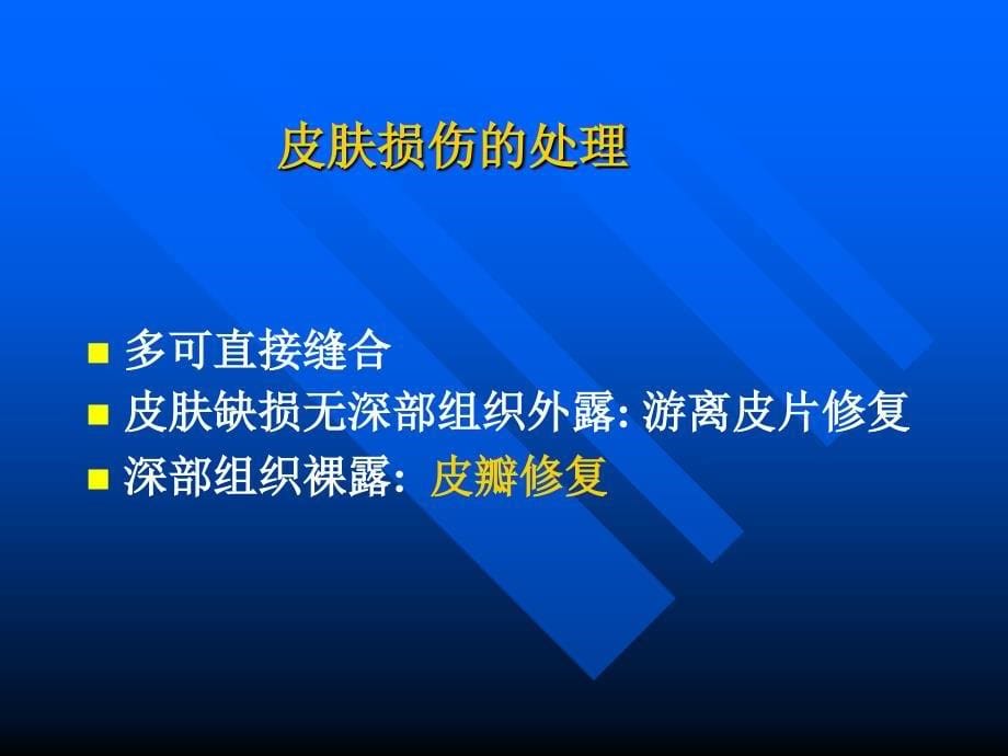 皮瓣在四肢皮肤缺损中的应用王欣_第5页