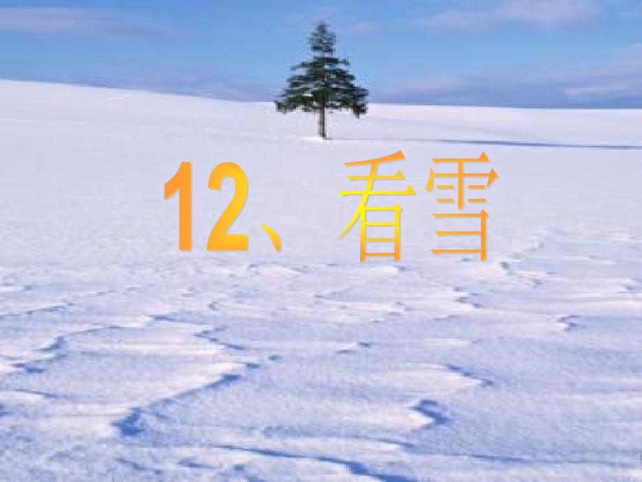 12看雪 (2)_第2页