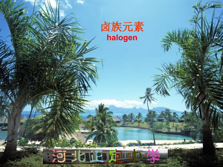 卤族元素haogen_第1页