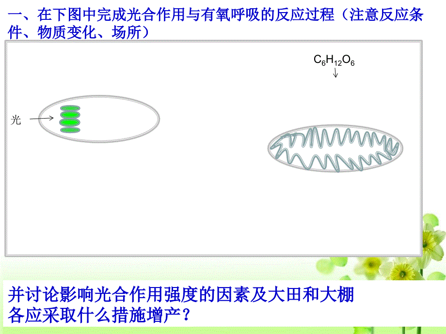 光合作用与呼吸作用二轮定稿_第2页