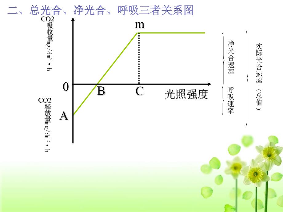 光合作用与呼吸作用二轮定稿_第4页