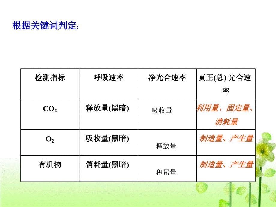 光合作用与呼吸作用二轮定稿_第5页